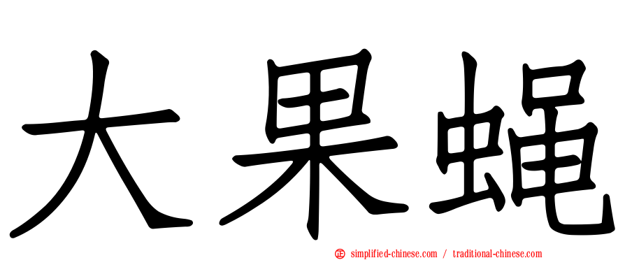 大果蝇
