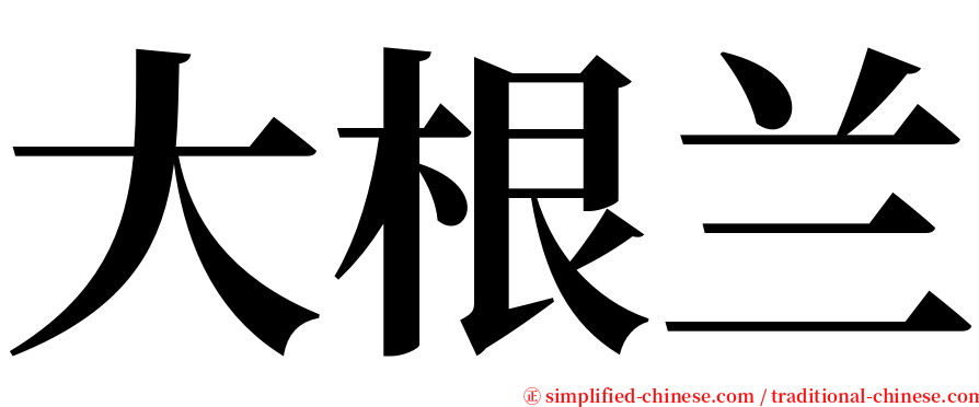 大根兰 serif font