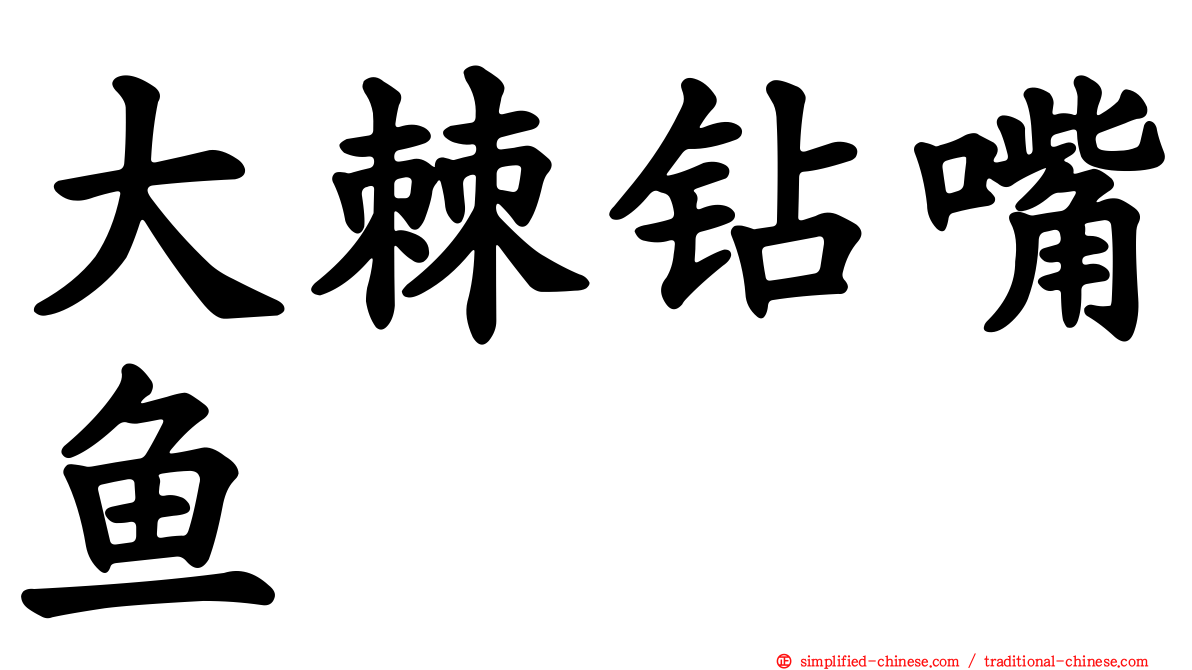 大棘钻嘴鱼