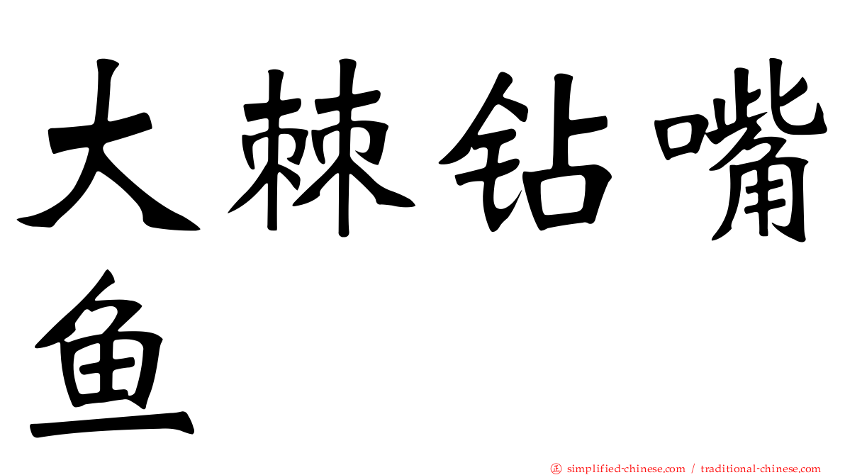 大棘钻嘴鱼