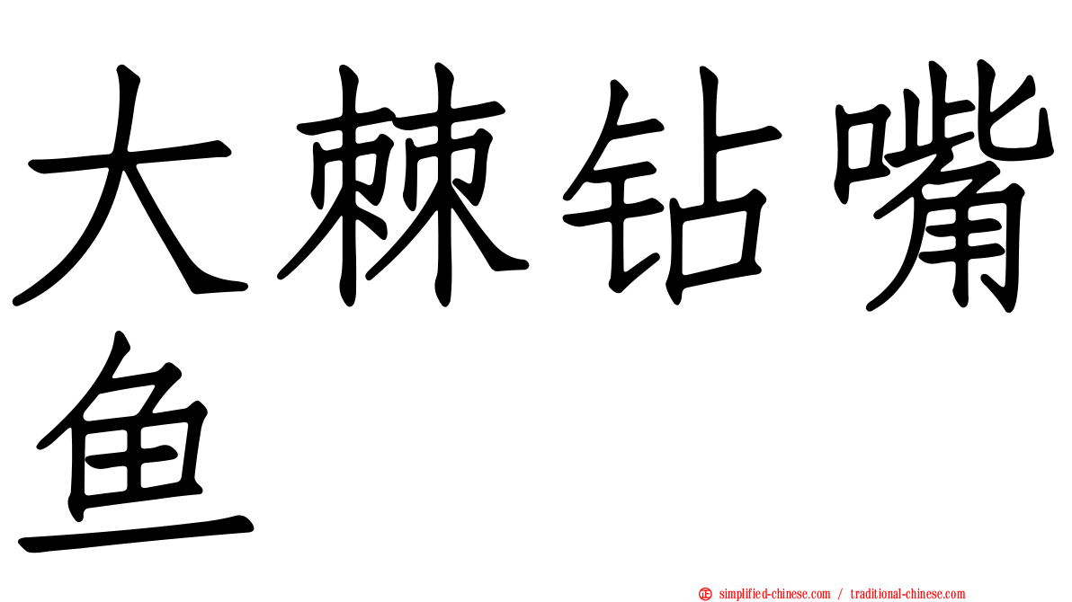 大棘钻嘴鱼