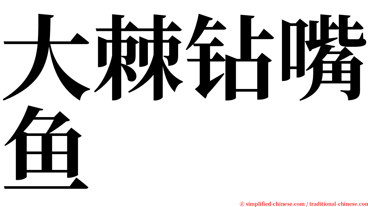 大棘钻嘴鱼 serif font