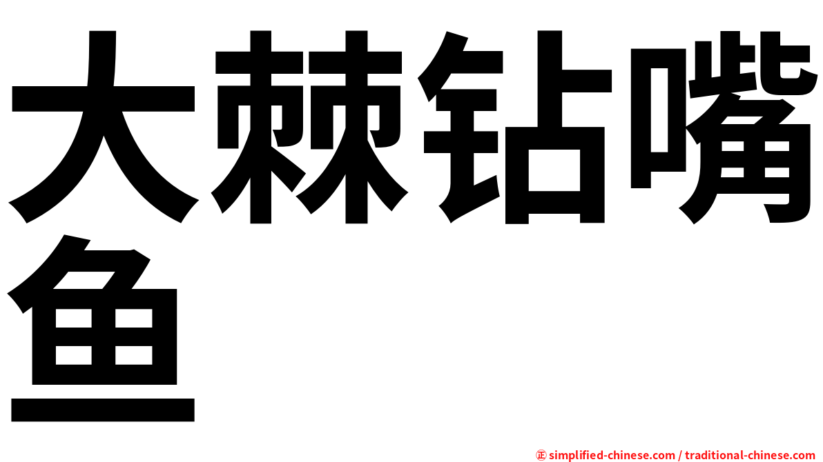 大棘钻嘴鱼