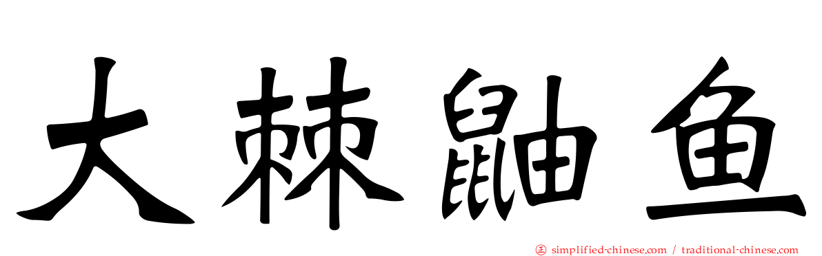 大棘鼬鱼
