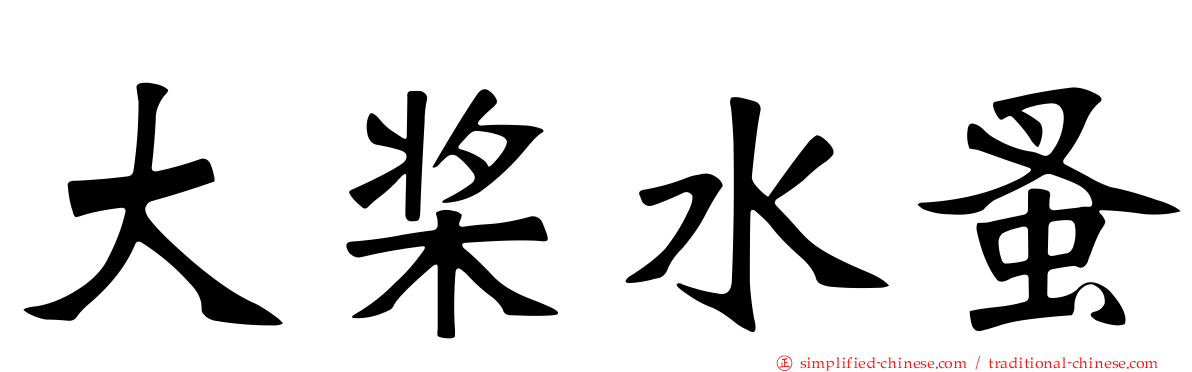 大桨水蚤