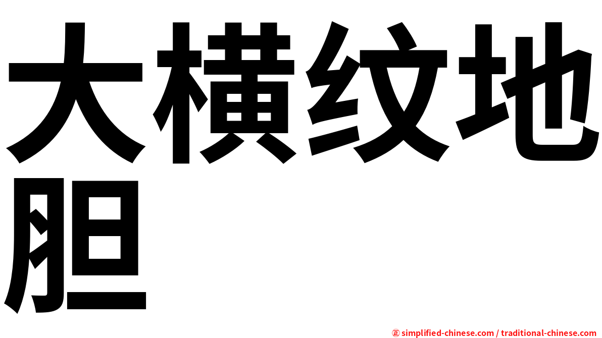 大横纹地胆