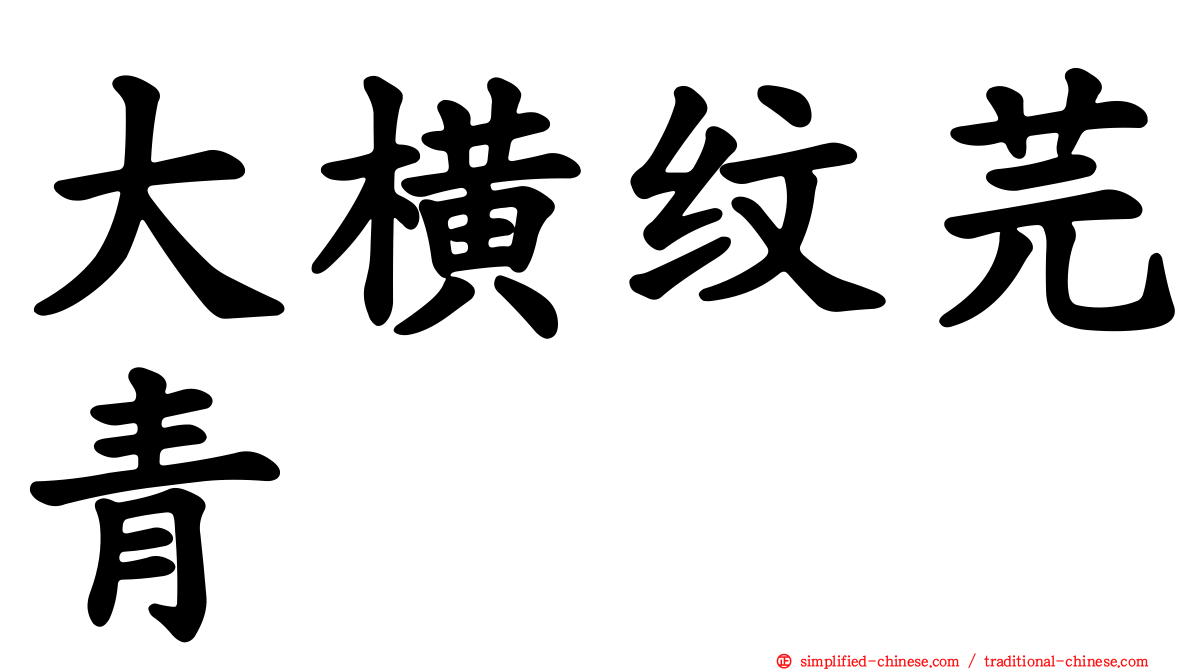 大横纹芫青