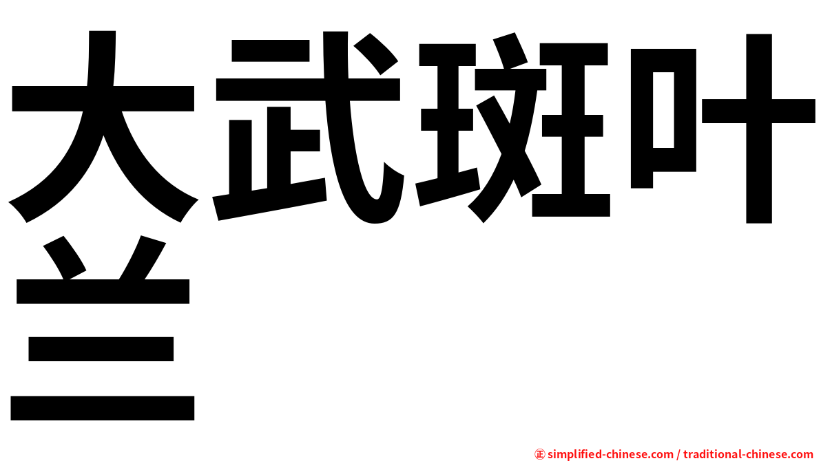 大武斑叶兰