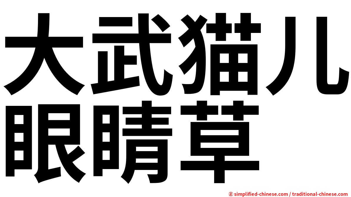 大武猫儿眼睛草