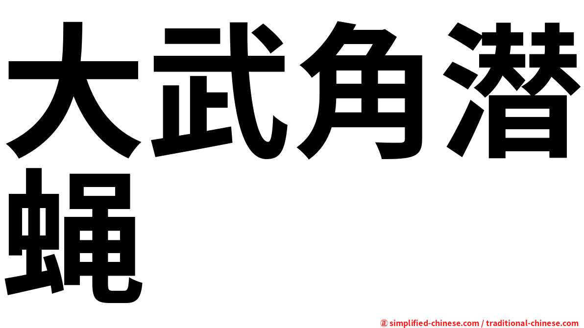 大武角潜蝇