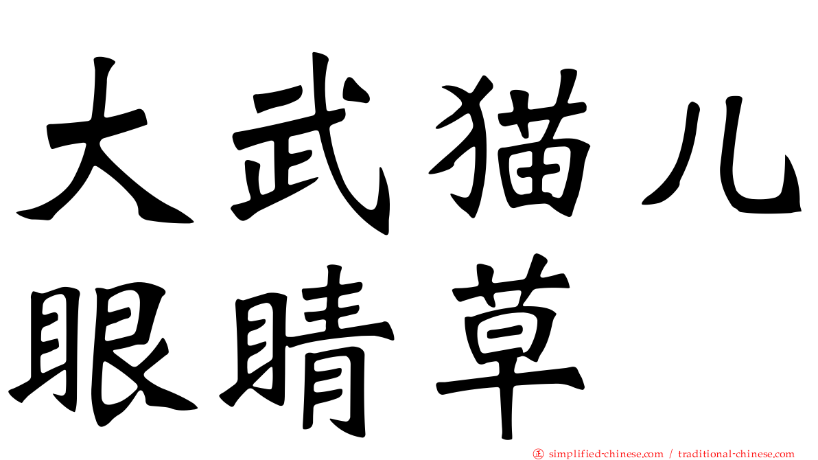 大武猫儿眼睛草
