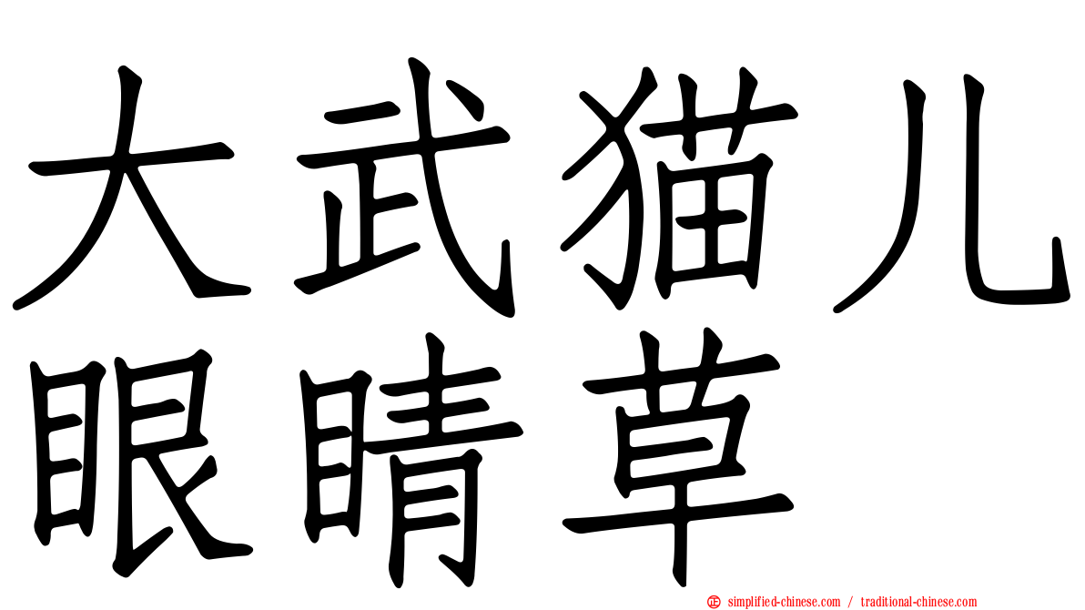 大武猫儿眼睛草