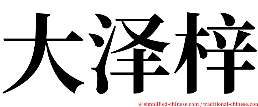 大泽梓 serif font