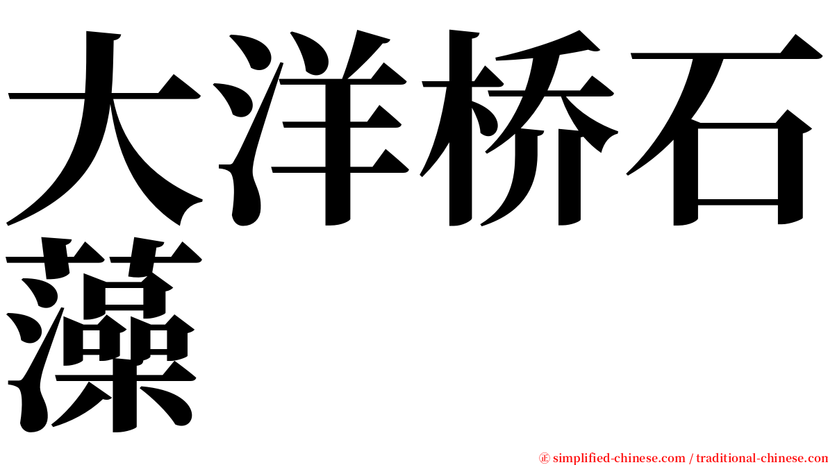 大洋桥石藻 serif font