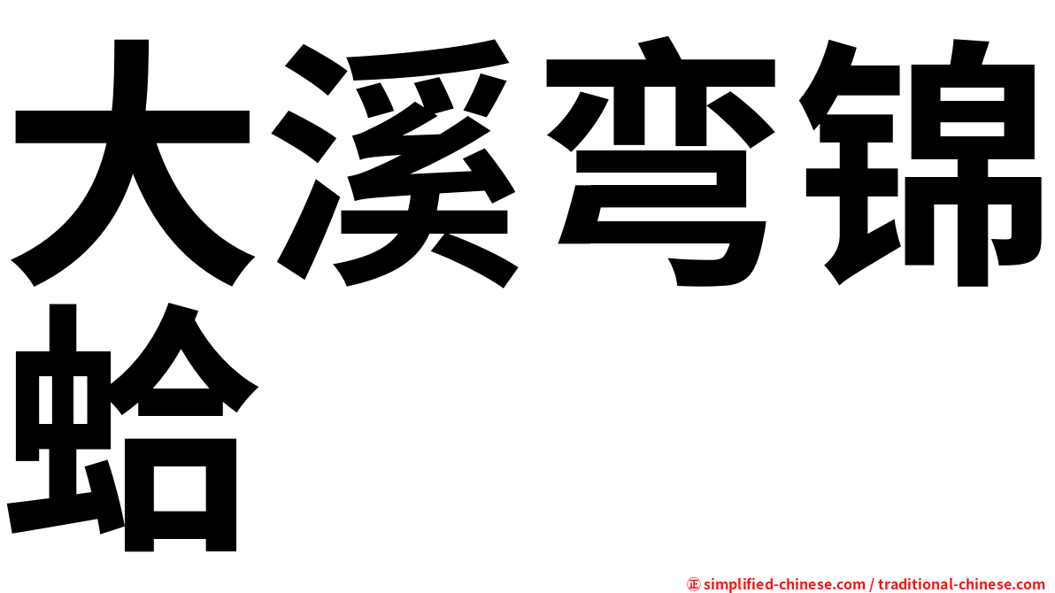 大溪弯锦蛤