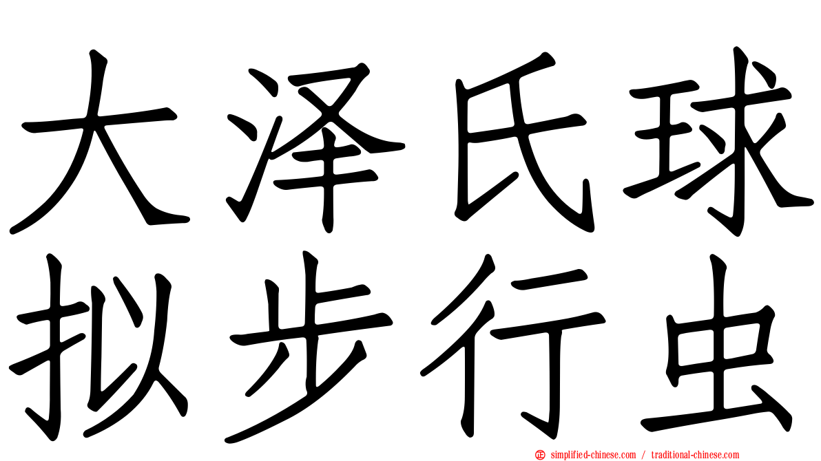 大泽氏球拟步行虫