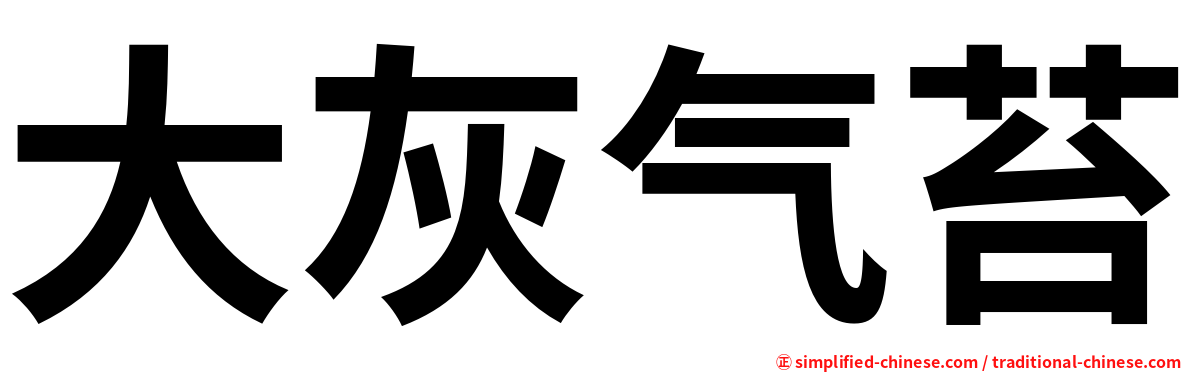 大灰气苔