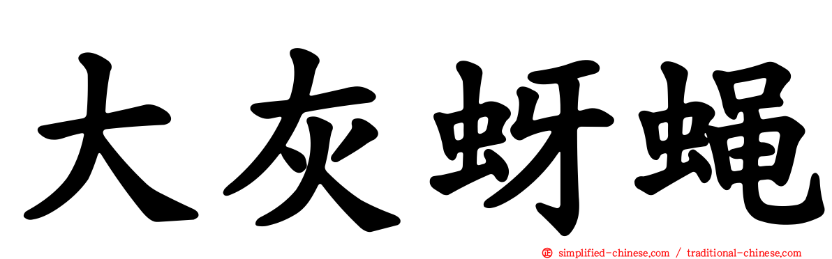 大灰蚜蝇