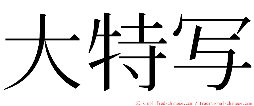 大特写 ming font