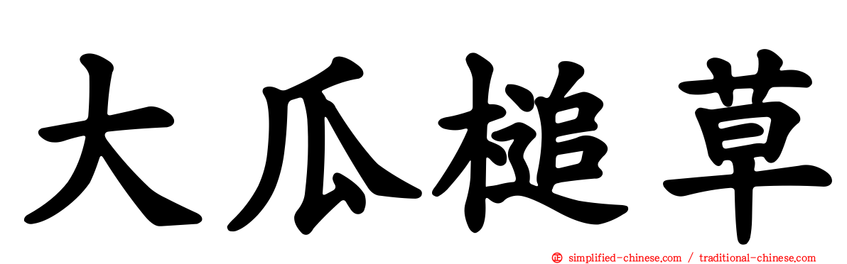大瓜槌草