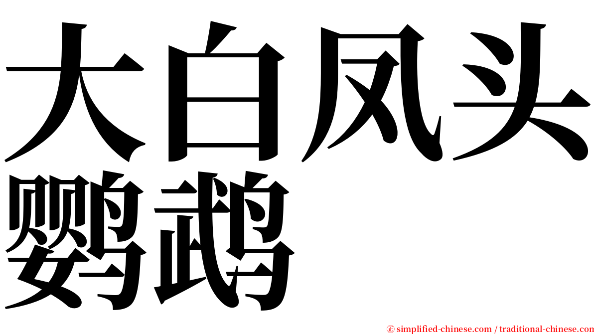 大白凤头鹦鹉 serif font
