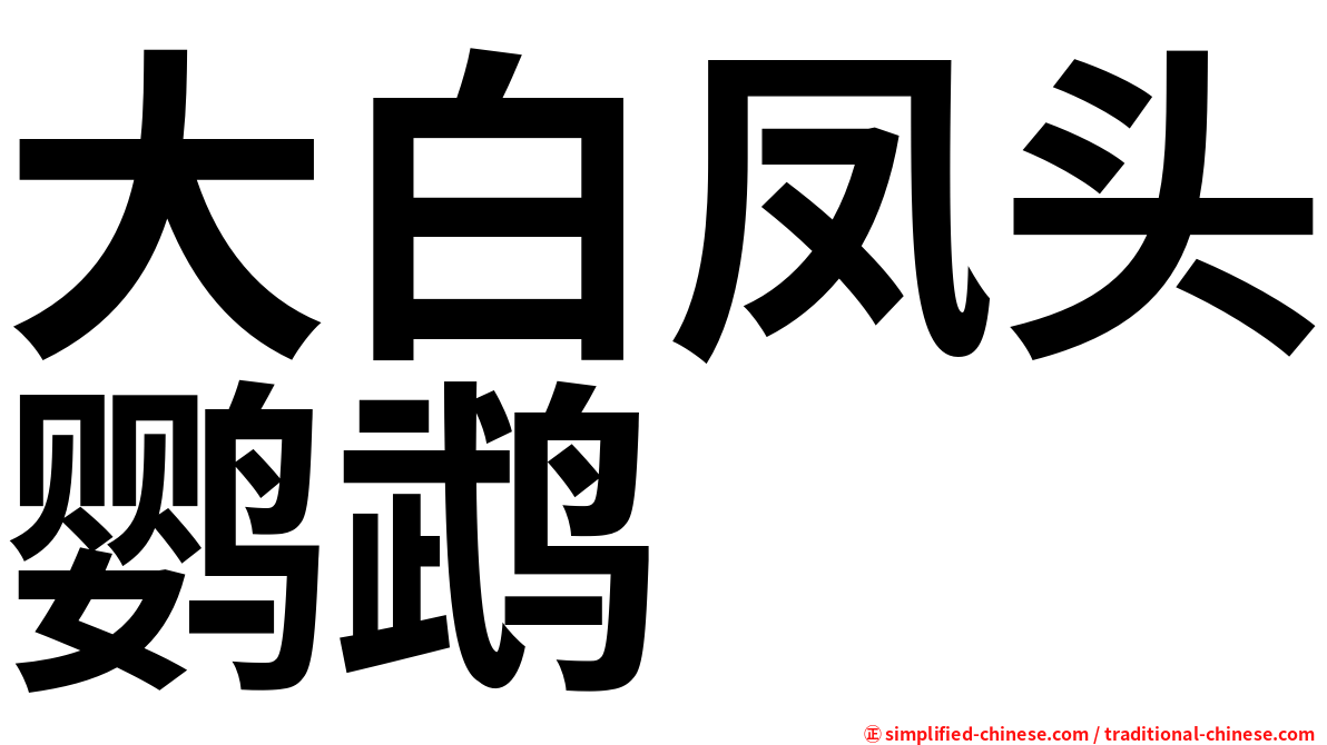 大白凤头鹦鹉