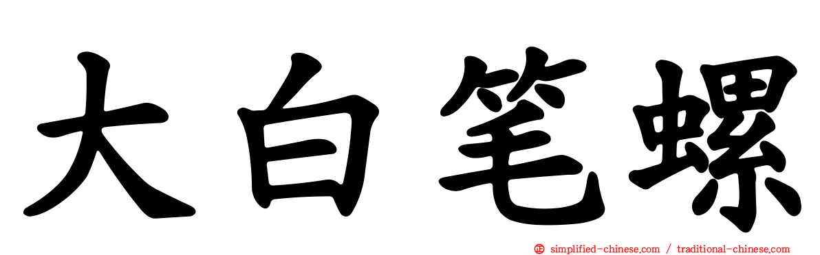 大白笔螺