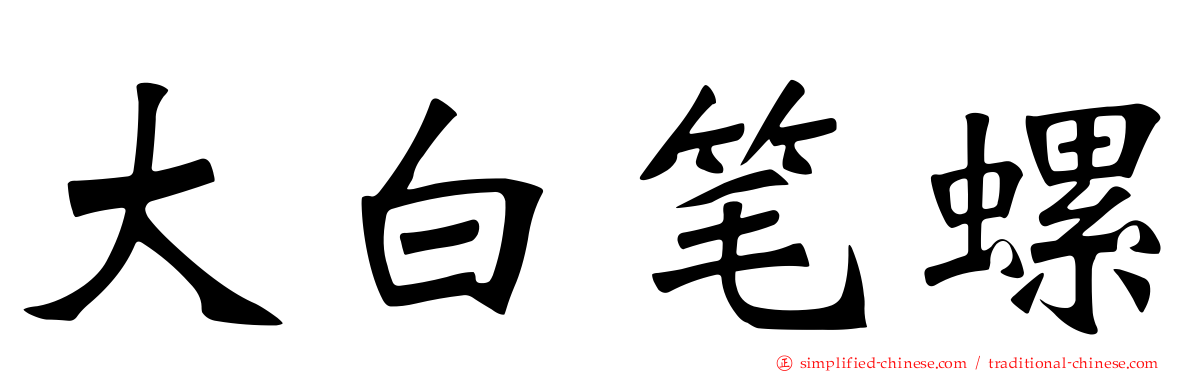 大白笔螺