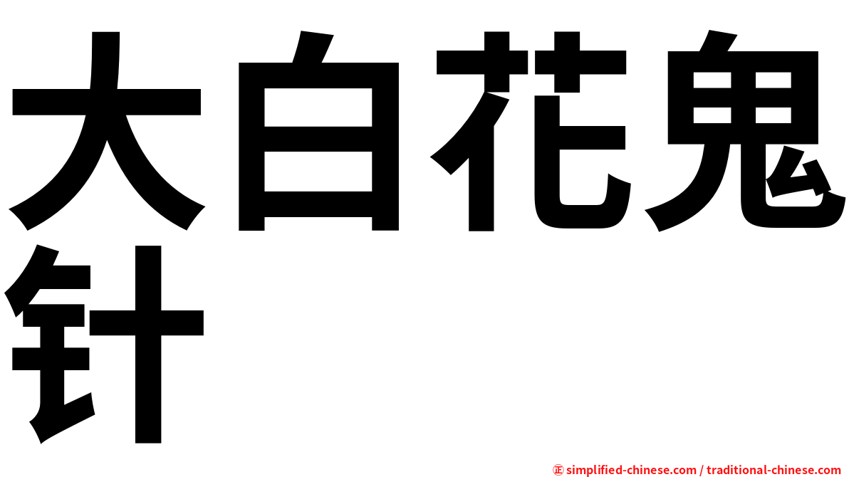 大白花鬼针