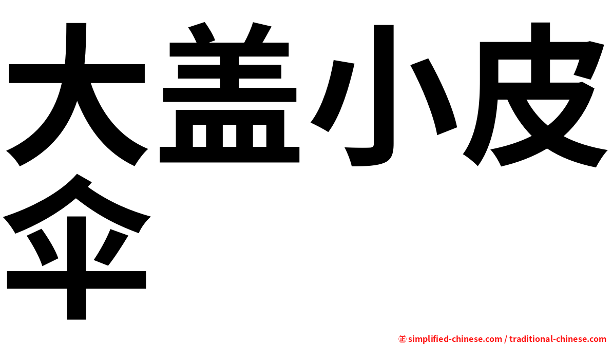 大盖小皮伞