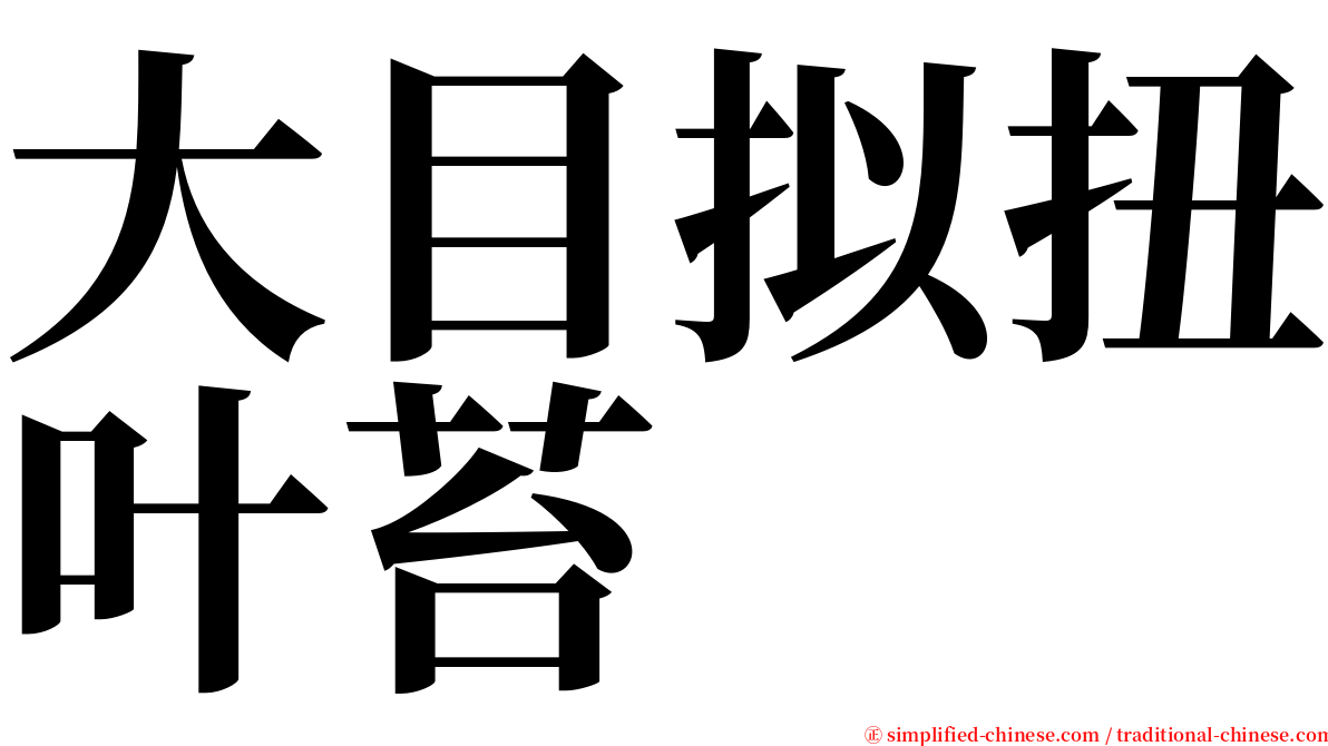 大目拟扭叶苔 serif font