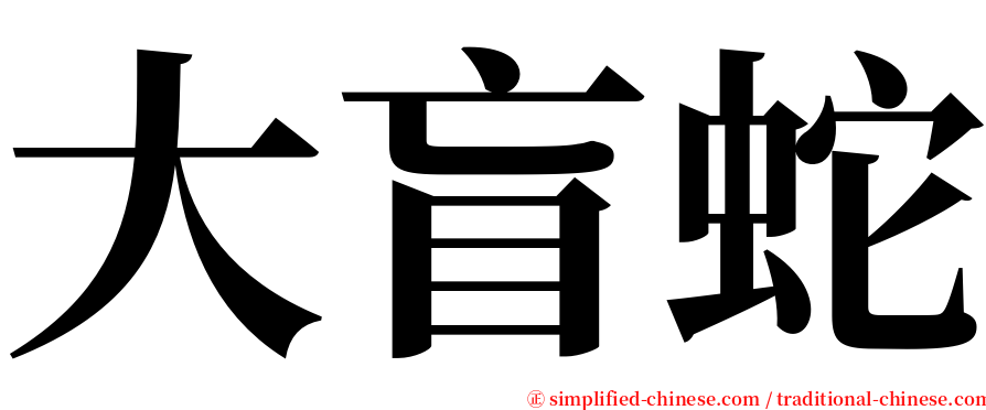 大盲蛇 serif font