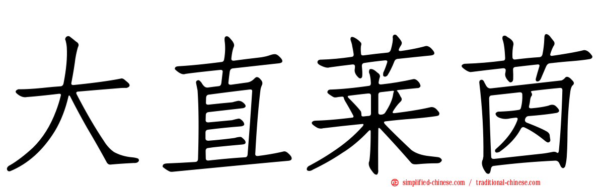 大直莱茵