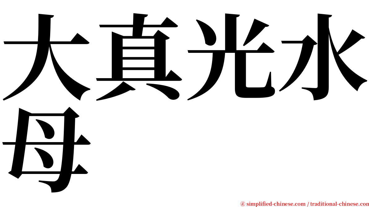 大真光水母 serif font