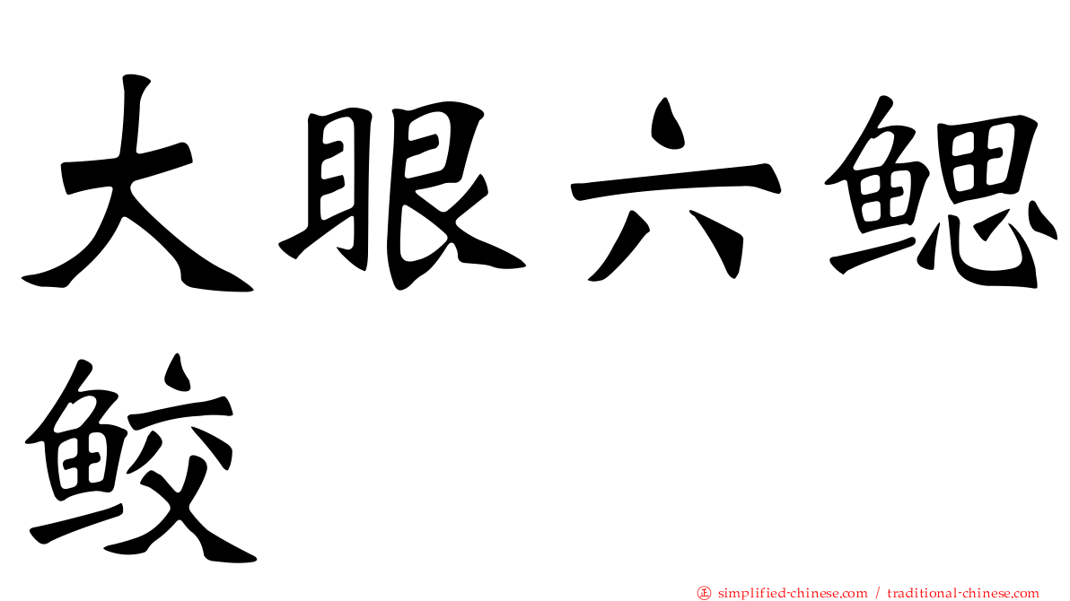 大眼六鳃鲛