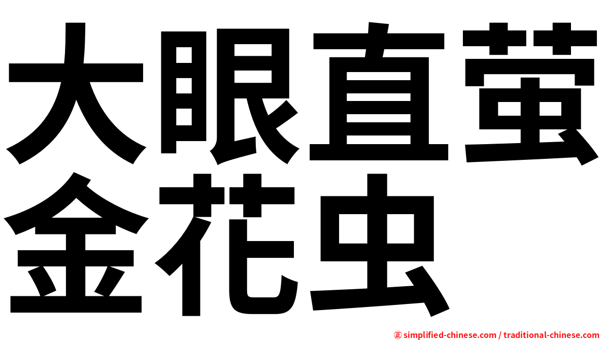 大眼直萤金花虫