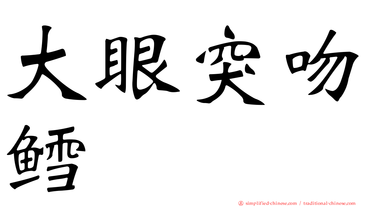 大眼突吻鳕