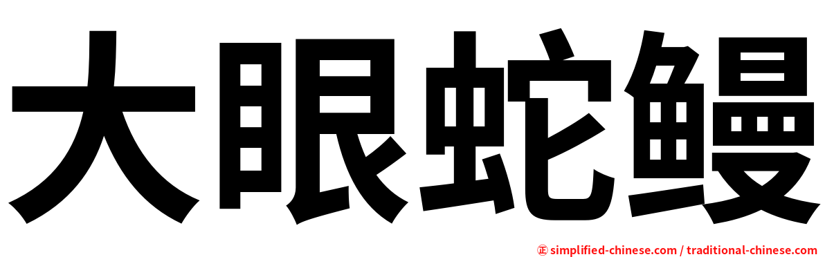 大眼蛇鳗