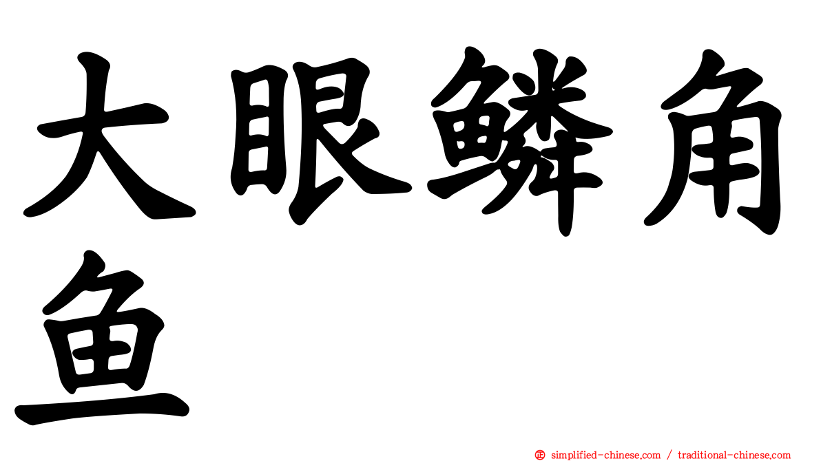 大眼鳞角鱼