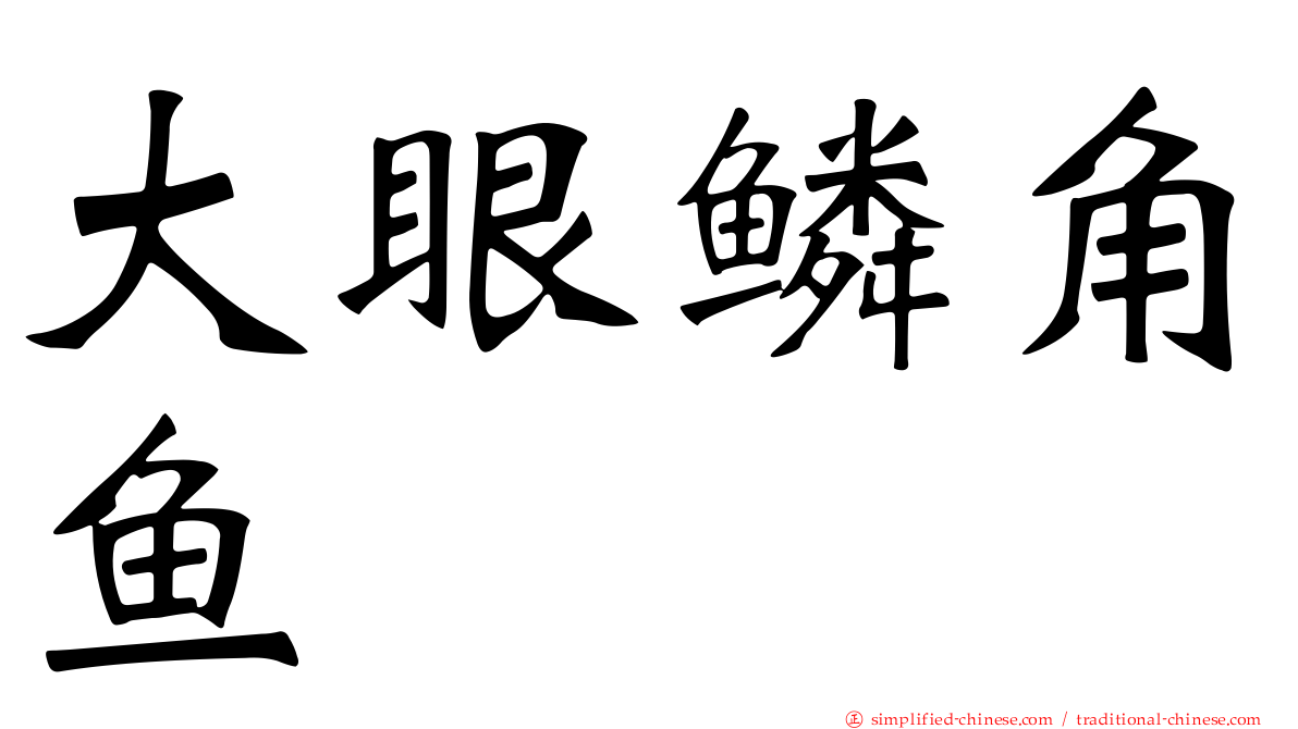 大眼鳞角鱼