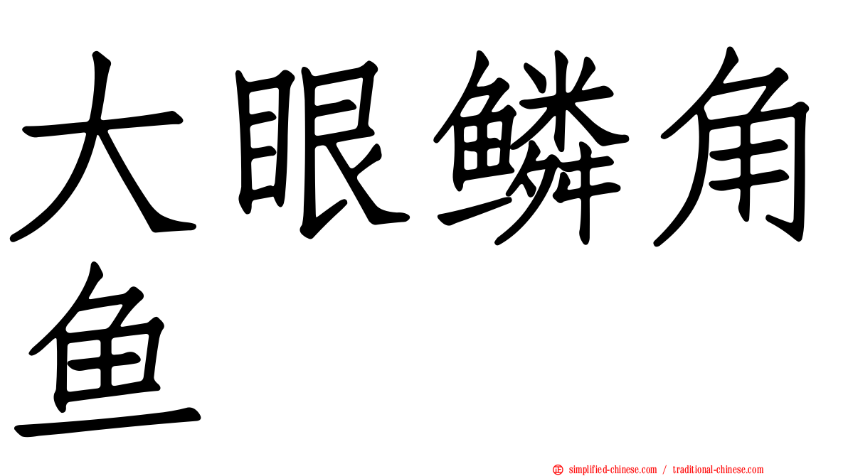 大眼鳞角鱼