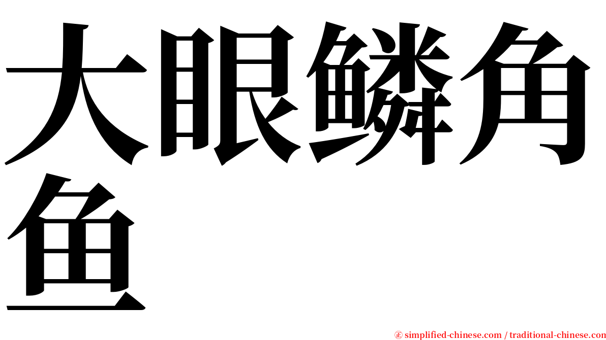 大眼鳞角鱼 serif font