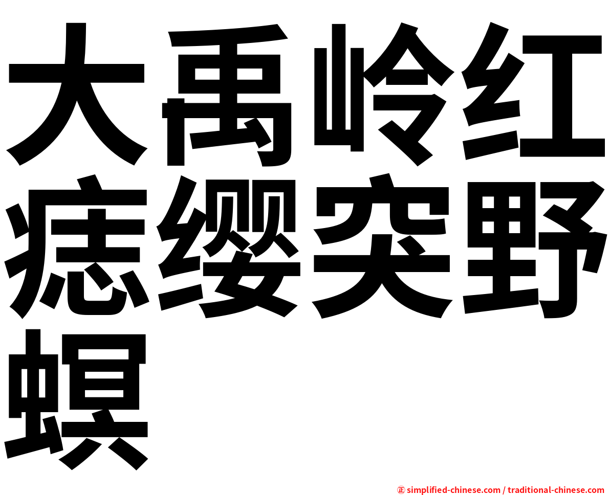 大禹岭红痣缨突野螟