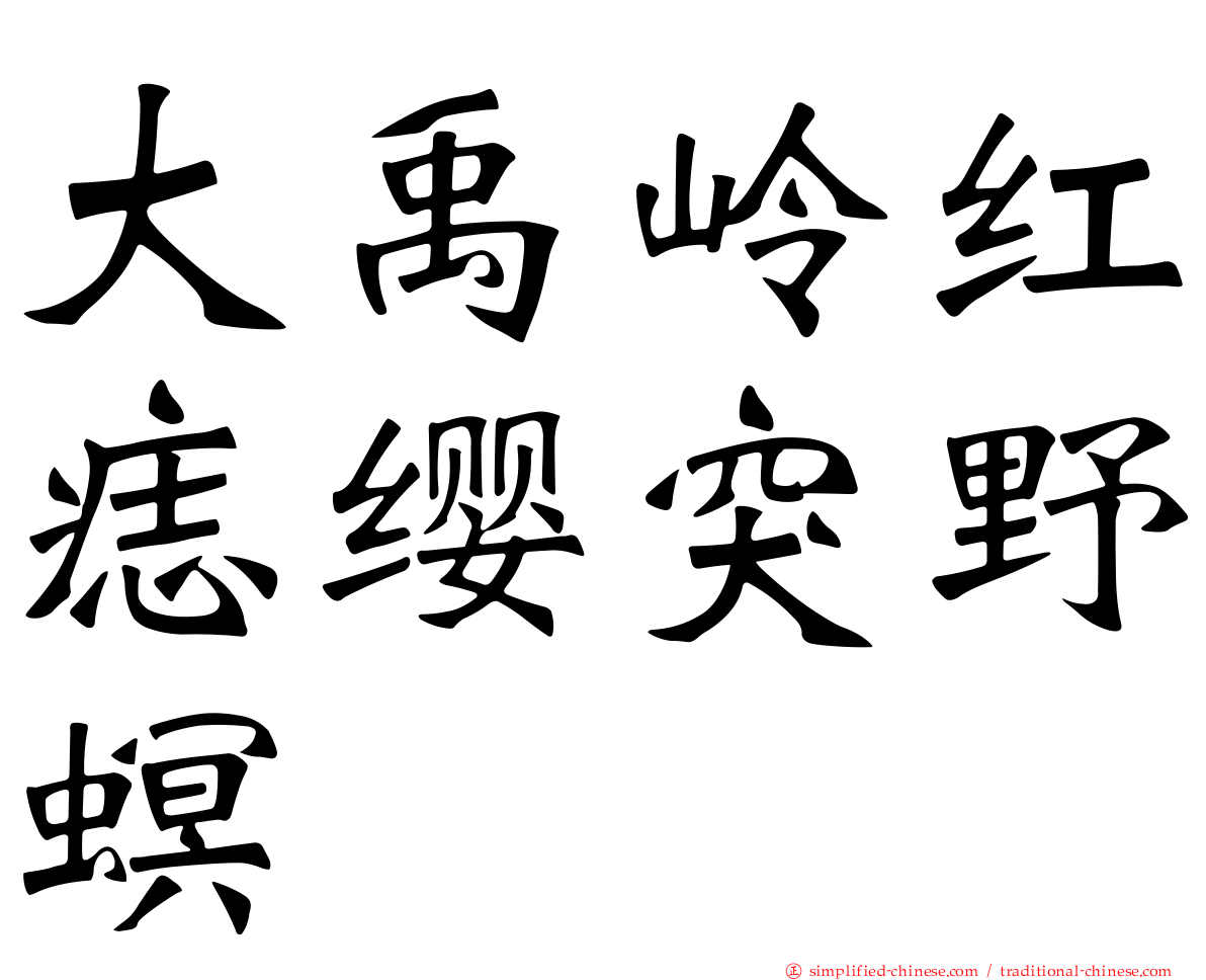 大禹岭红痣缨突野螟