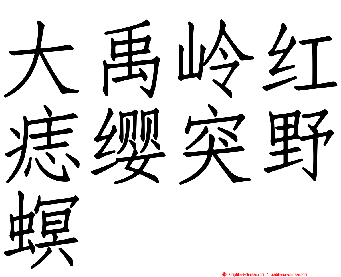 大禹岭红痣缨突野螟