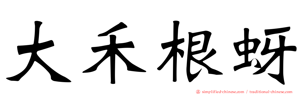 大禾根蚜