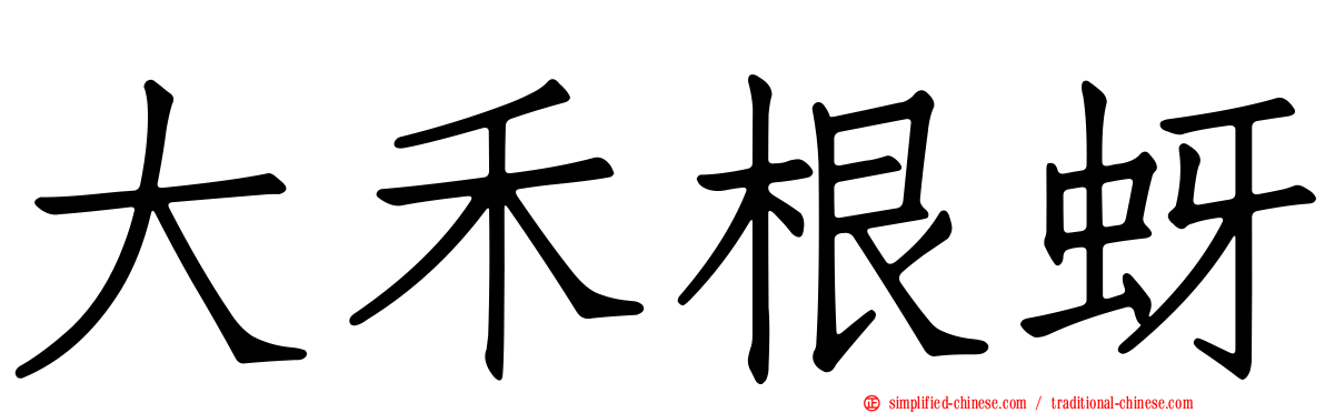 大禾根蚜