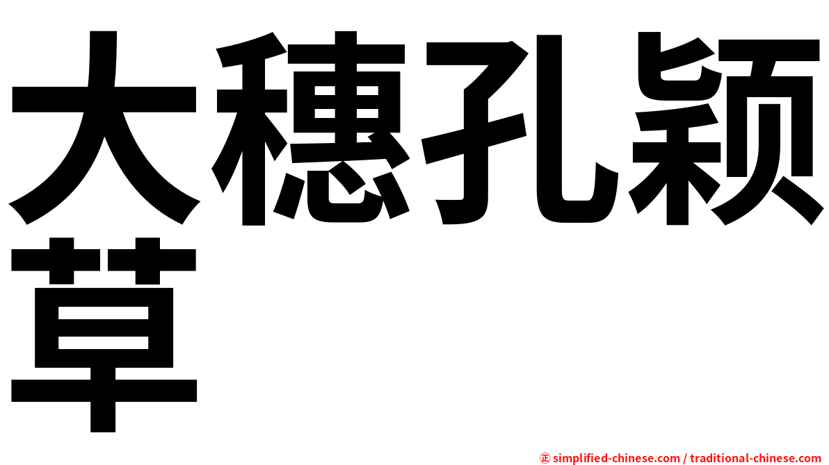 大穗孔颖草