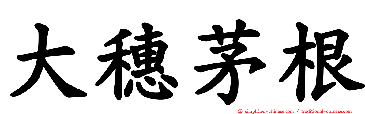 大穗茅根