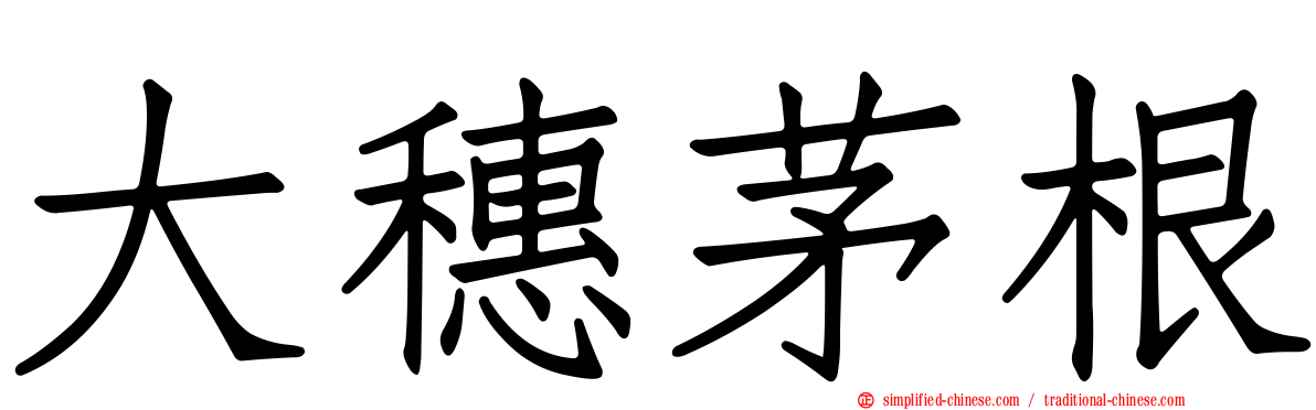 大穗茅根